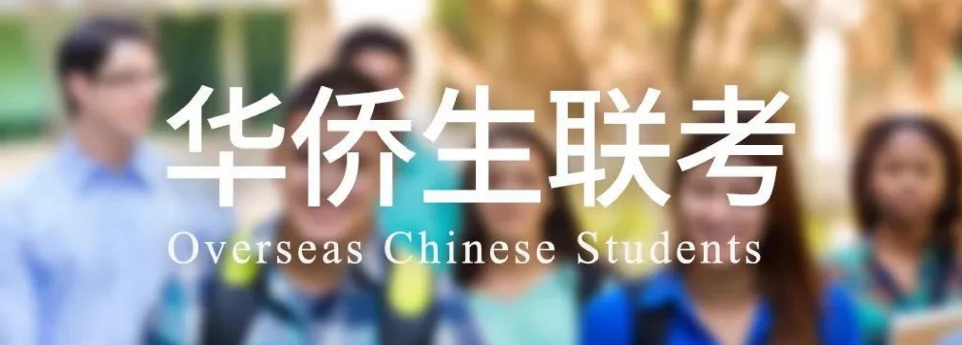 互联网-砍柴网